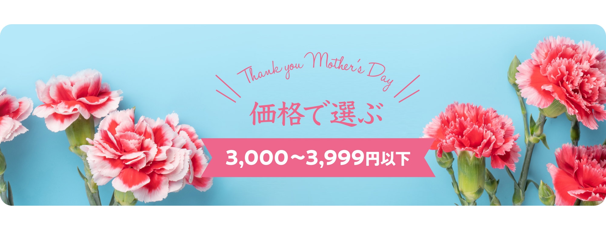 価格で選ぶ3,000～3,999円以下