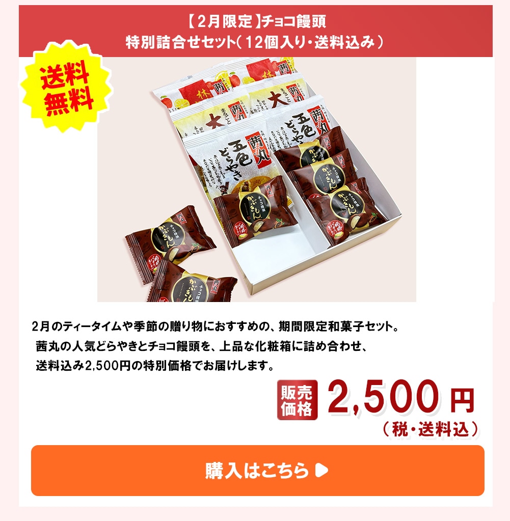 【2月限定】チョコ饅頭特別詰合せセット（12個入り・送料込み）