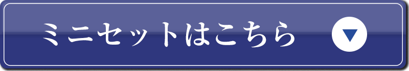 商品のご購入へ