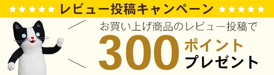 レビューキャンペーン