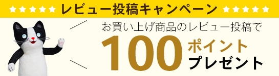 レビューキャンペーン