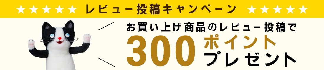 レビュー投稿キャンペーン300ポイントプレゼント