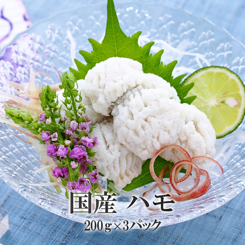 新鮮 国産 ハモ 200ｇ × 3パック はも 鱧 湯引き　天ぷら おつまみ 通販