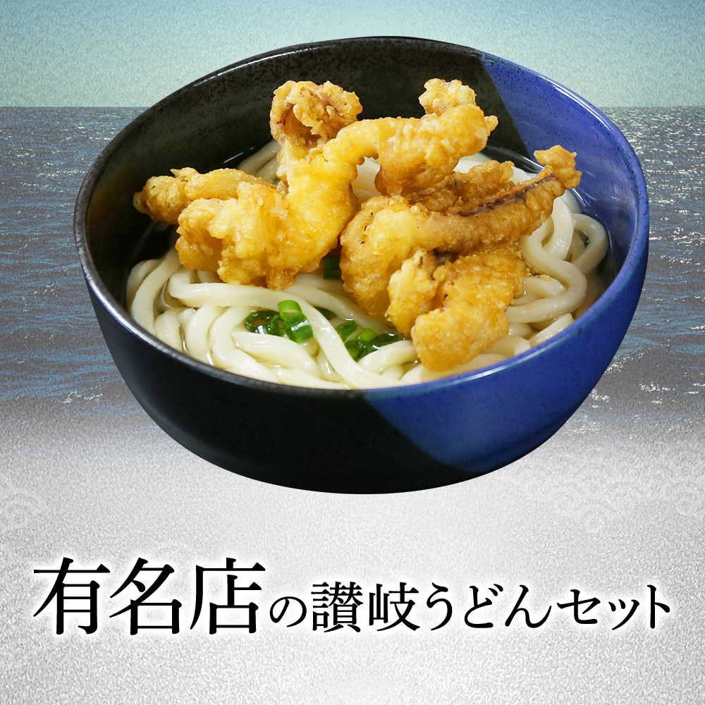 讃岐うどん＆あおりいかゲソ天セット（2人前）