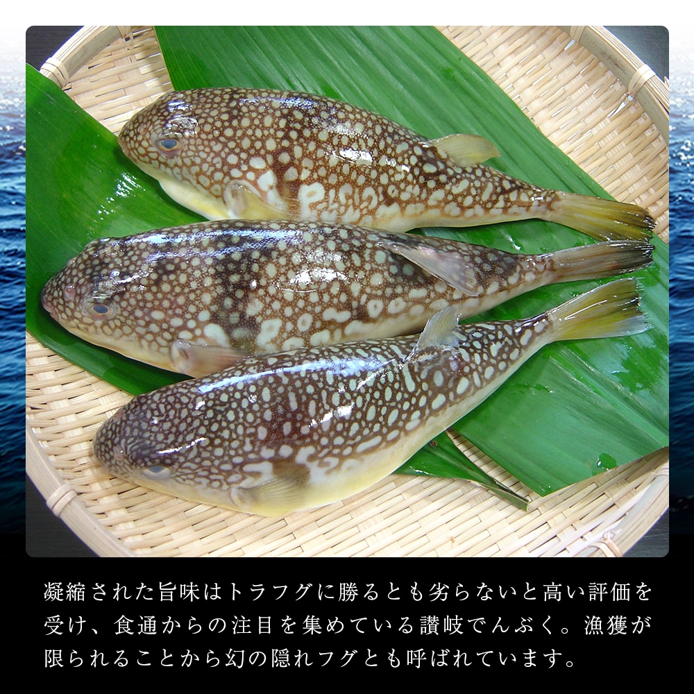 讃岐 でんぶく の 瀬戸内 アヒージョ 河豚 フグ ねこ海レストラン お取り寄せ 通販