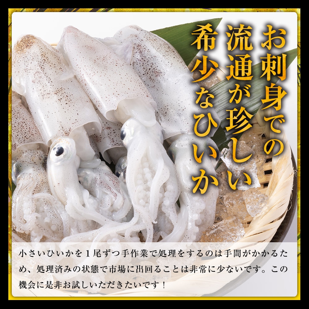 期間限定 数量限定 デラックスセット 福袋 あおりいか むき身 刺身 ゲソ から揚げ 天ぷら いかそうめん ひいか おつまみ 通販