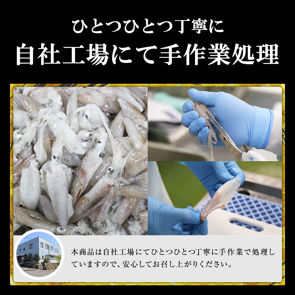 期間限定 数量限定 デラックスセット 福袋 あおりいか むき身 刺身 ゲソ から揚げ 天ぷら いかそうめん ひいか おつまみ 通販