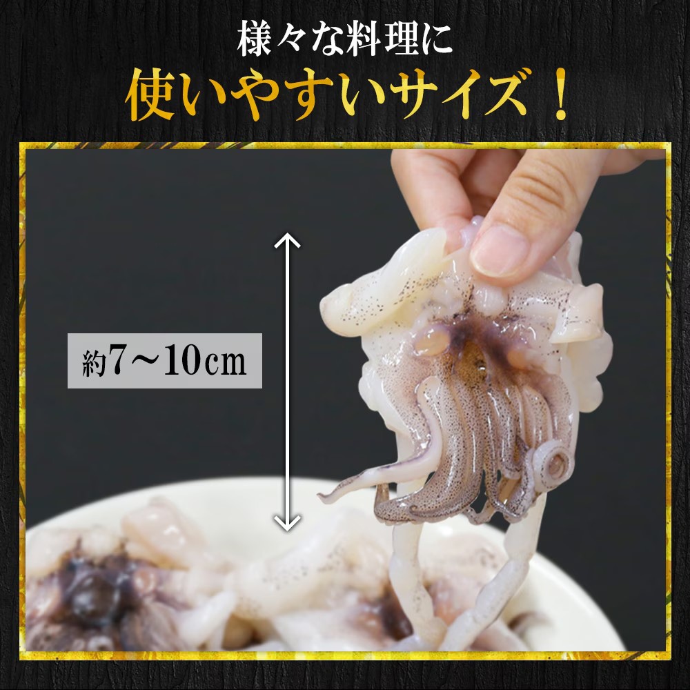 期間限定 数量限定  あおりいか おつまみ 3種セット あおりいかゲソ あおりいか天ぷら ゲソのから揚げ
