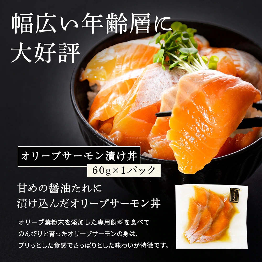 期間限定 数量限定 すぐ食べられる おまかせセット あおりいかそうめん あおりいか天ぷら ゲソのから揚げ サーモン丼 ひいかのお刺身