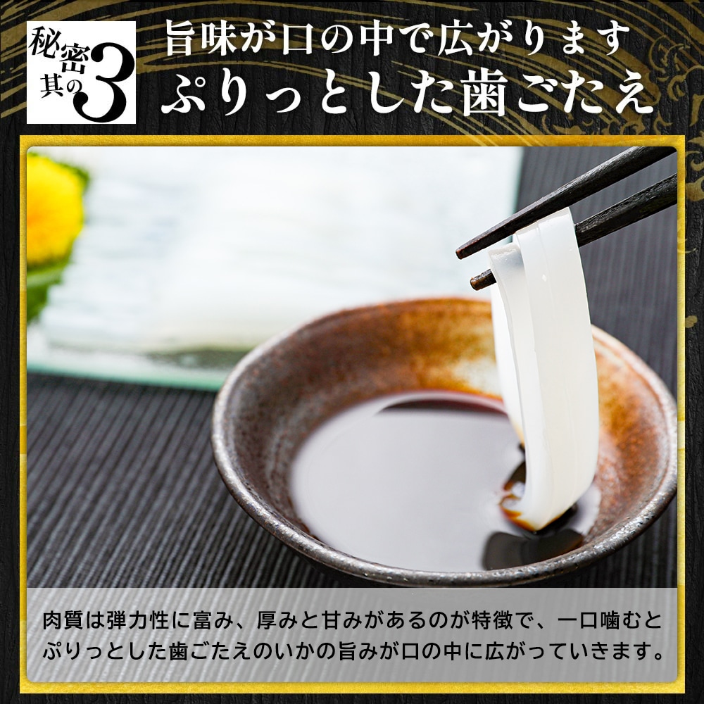 送料無料 いかそうめん 200g × 2パック 専用タレ付き