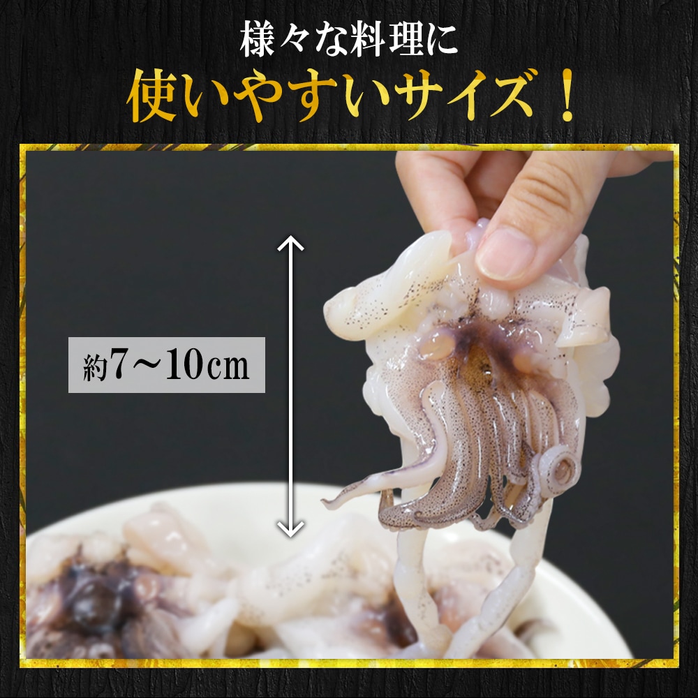 新鮮 アオリイカ ゲソ 200ｇ 加熱用 おつまみ 通販
