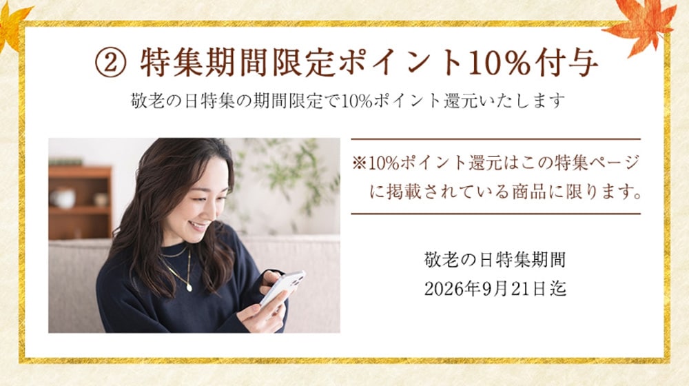新鮮 アオリイカ むき身 刺身 ギフトセット 通販 詰め合わせ セット ギフト 贈答 通販