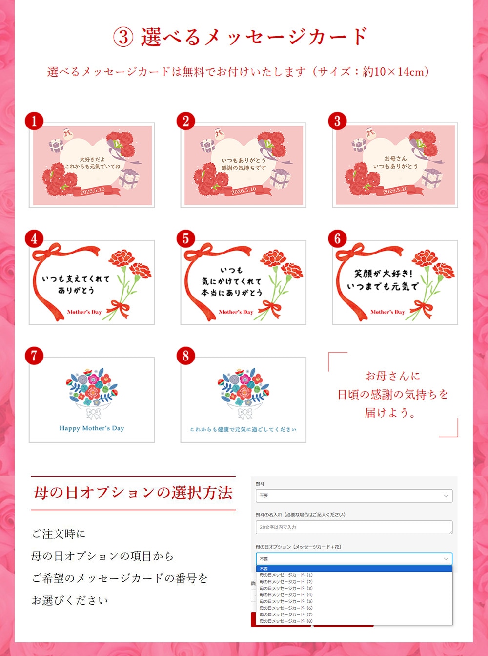 アオリイカ 贅沢 三昧 詰め合わせ 大容量 （むき身 ゲソ いかそうめん） セット ギフト ギフトセット 贈答 通販