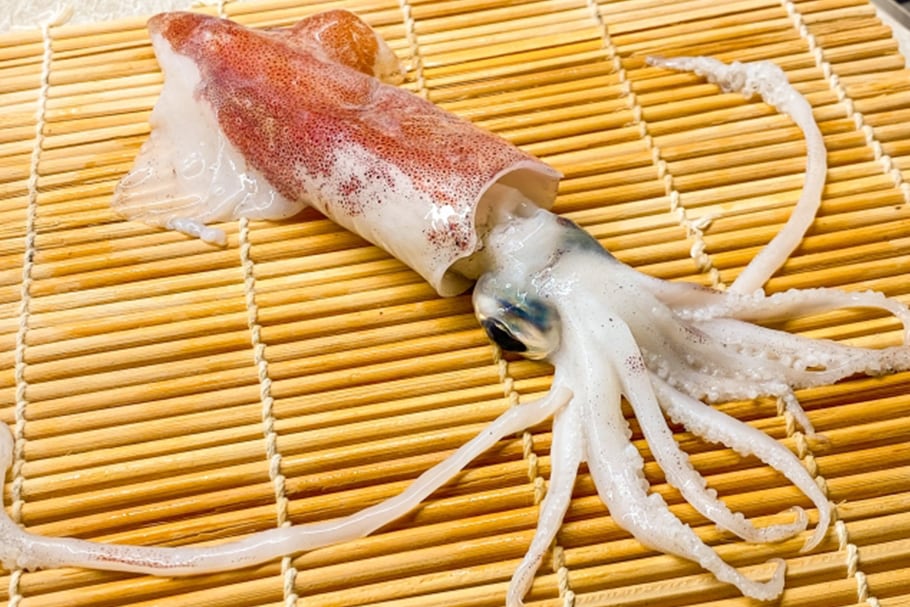 アオリイカ あき水産鮮魚部