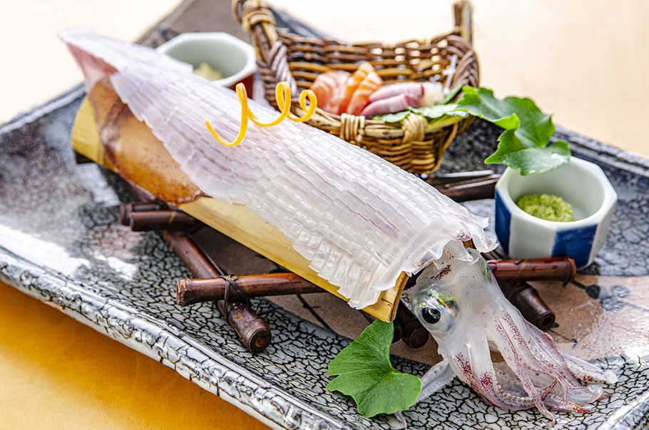 アオリイカ あき水産鮮魚部