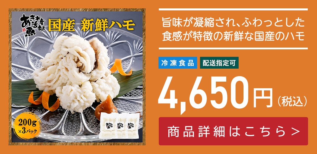 新鮮 国産 ハモ 200ｇ×3パック 加熱用