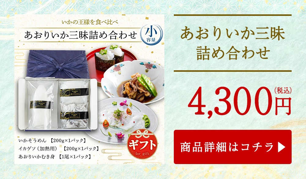 あおりいか三昧 詰め合わせ