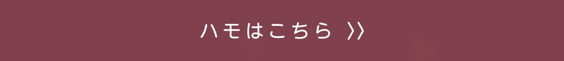 新鮮 国産 ハモ 加熱用