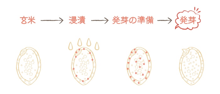 ȯ��Υᥫ�˥��ࡪ