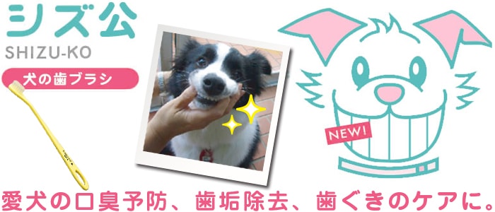 愛犬用歯ブラシ　SHIZU-KO　シズ公　愛犬の口臭予防、歯垢除去、歯ぐきのケアに。