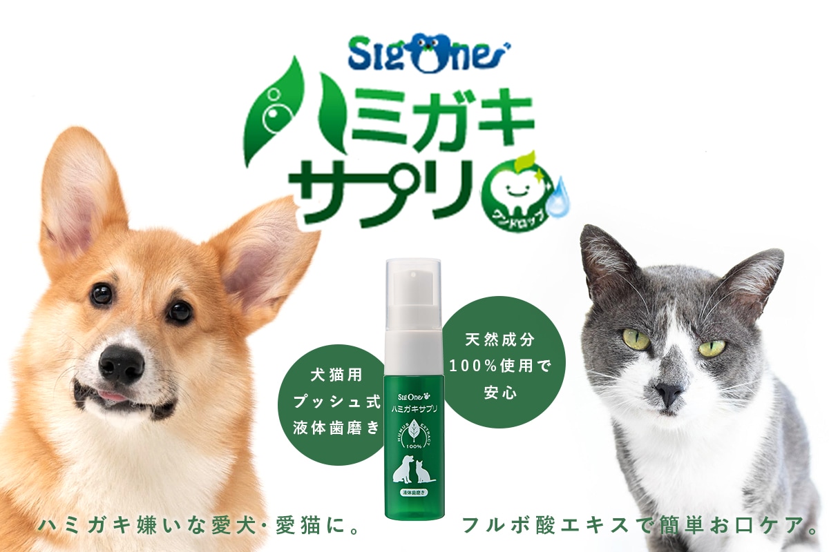 シグワン ハミガキサプリ ワンドロップ 20ml | カテゴリー別,[DOG&CAT