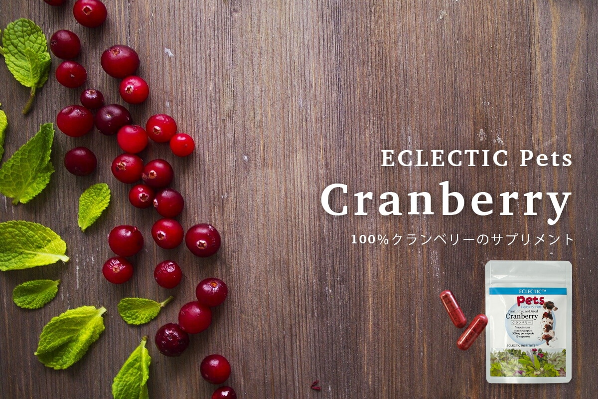 ECLECTIC Pets Cranberry　100%クランベリーのサプリメント