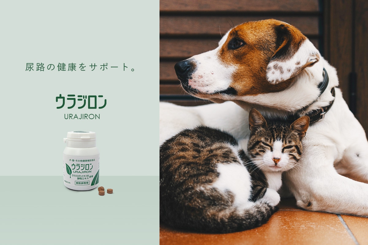 ウラジロン 60粒 犬 猫 尿路を護る健康食品 サプリメント １日に２粒