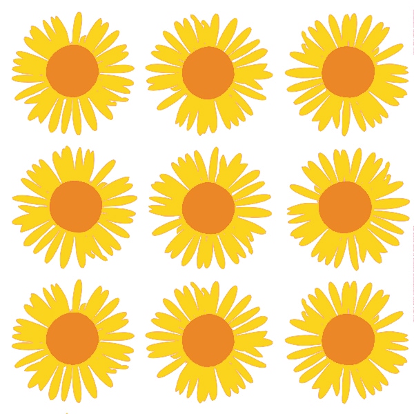 auringonkukka アウリンゴンクッカ