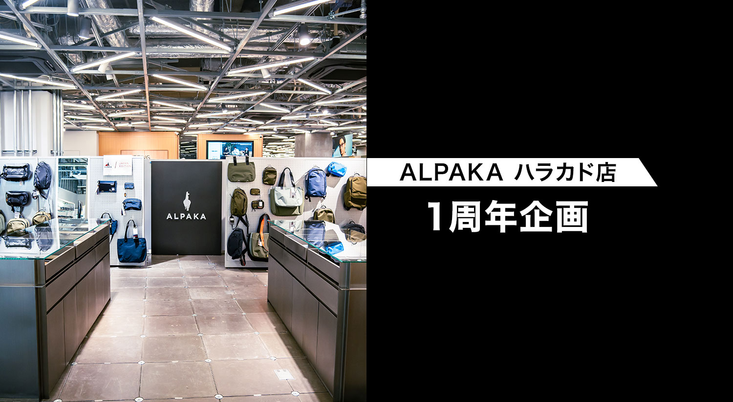 公式】ALPAKA (アルパカ)