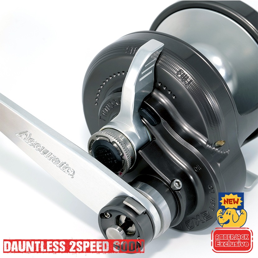 Accurate Dauntless Reel DX2-600N 