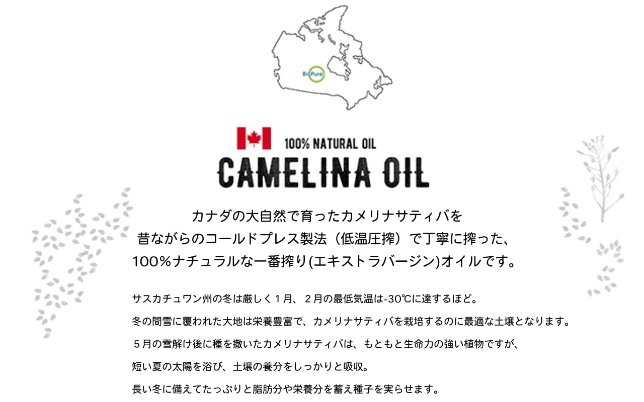 camelina