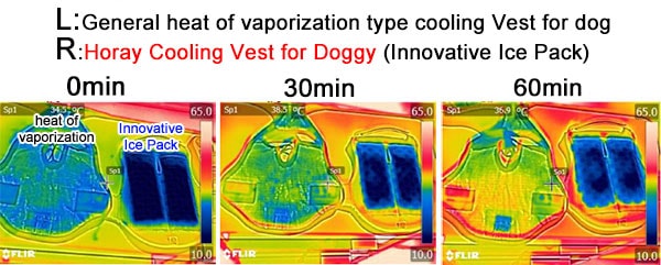 Comparison of Horay Vest -Bow- and a vaporization heat system cool vest (thermography)