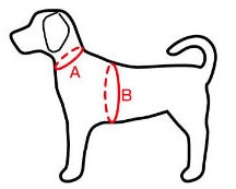 犬のサイズ測定方法画像