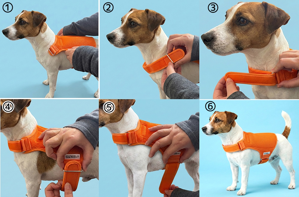 正しい着用方法（1-6）