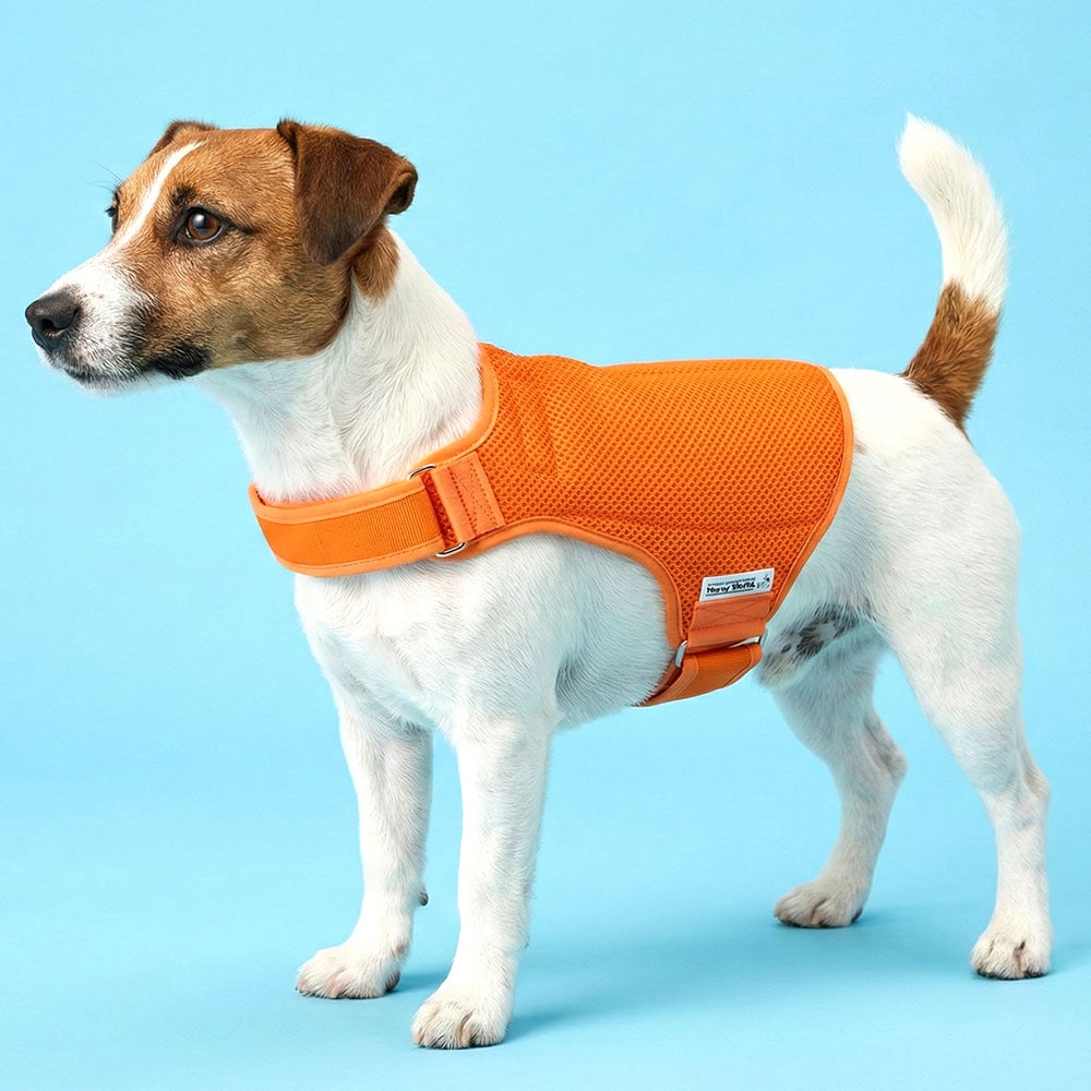 ホレイベストワン 着用例