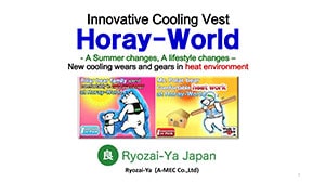 horay-world presentation in english