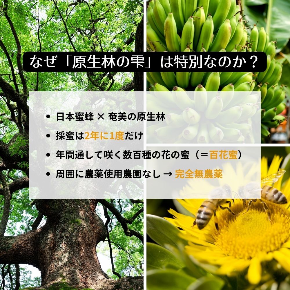 生はちみつ 奄美大島産300g｜非加熱・無添加