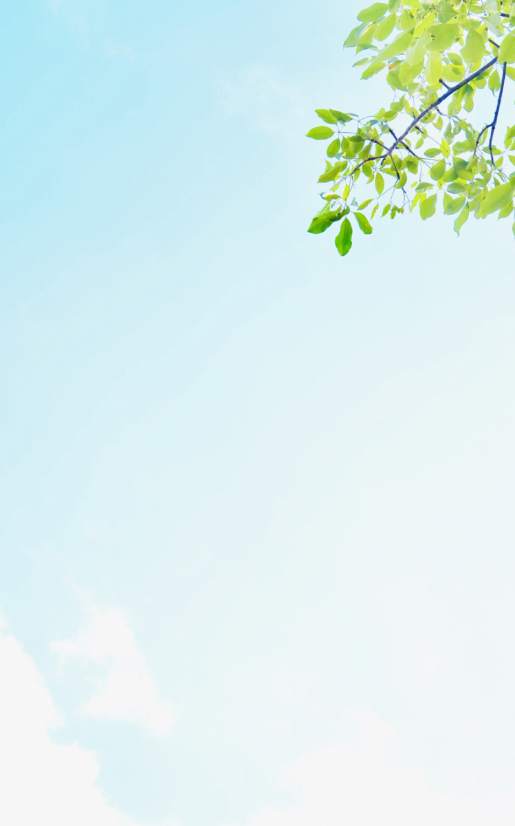 ショップについて