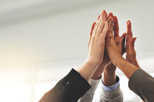 補助金申請の成功事例