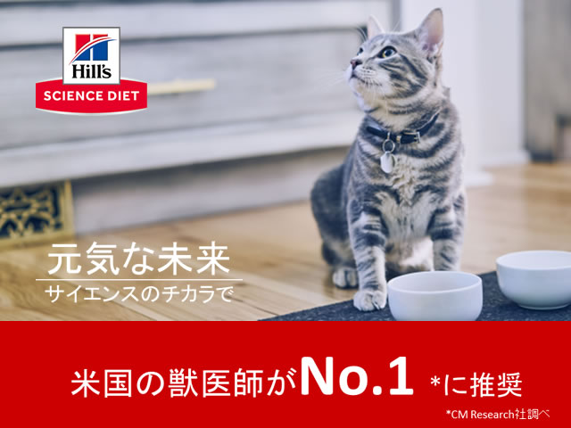 アンディーマーブル本店 キャットフード ドッグフードや猫用品 犬用品のインターネット通信販売