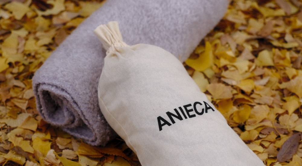 ANIECA アニーカ ノベルティプレゼント novelty