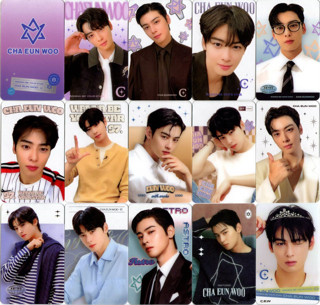 送料無料・速達】 CHA EUN WOO チャウヌ (ASTRO/アストロ) グッズ