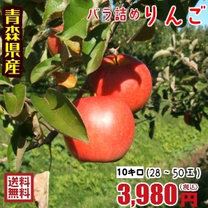 ただいま 有袋ふじの発送となります 青森りんご 送料無料 バラ詰めりんご10ｋｇ 10キロ前後 28 50玉 ジュース スムージーにおススメ その他 青森りんご専門店 鬼印須藤商店