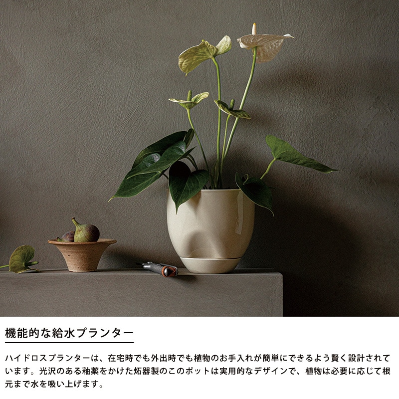 Audo ハイドロス プランター 直径20cm アシェン