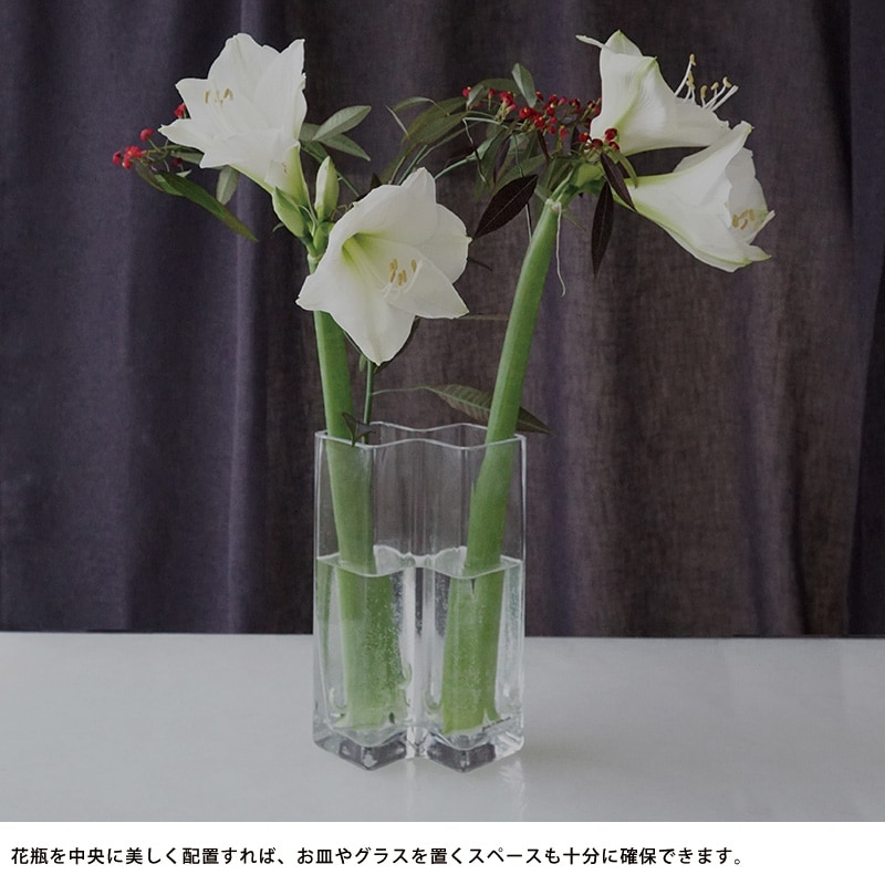 Born in Sweden ロウベース 2連 クリア