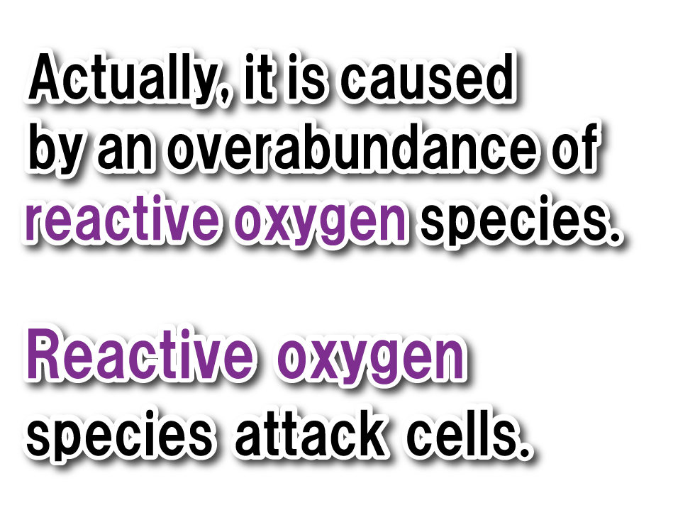 Actually, the cause is an excessive increase in active oxygen. Active oxygen species attack cells.