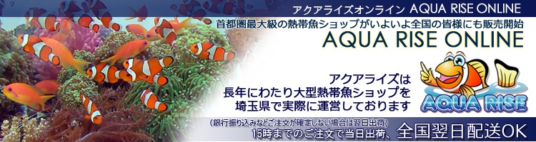 アクアライズ通販ショップ｜熱帯魚・海水魚・淡水魚・水草・飼育器材の 