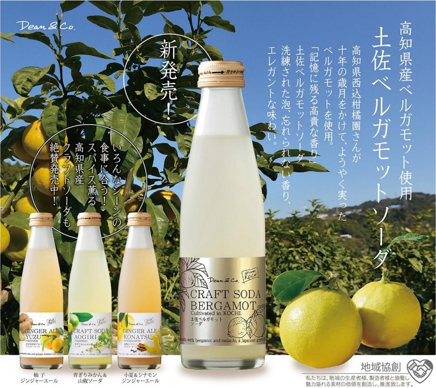 高知県産クラフトソーダ ５種 195ml 24本