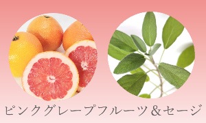 業務用入浴剤 アロマティックバスシリーズ4種 10kg（5kg×2）