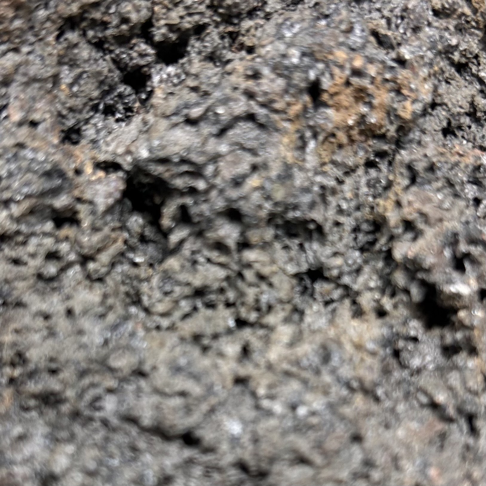 火山岩の表面の拡大写真